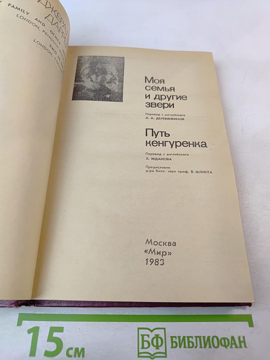 Моя семья и другие звери; Путь кенгуренка