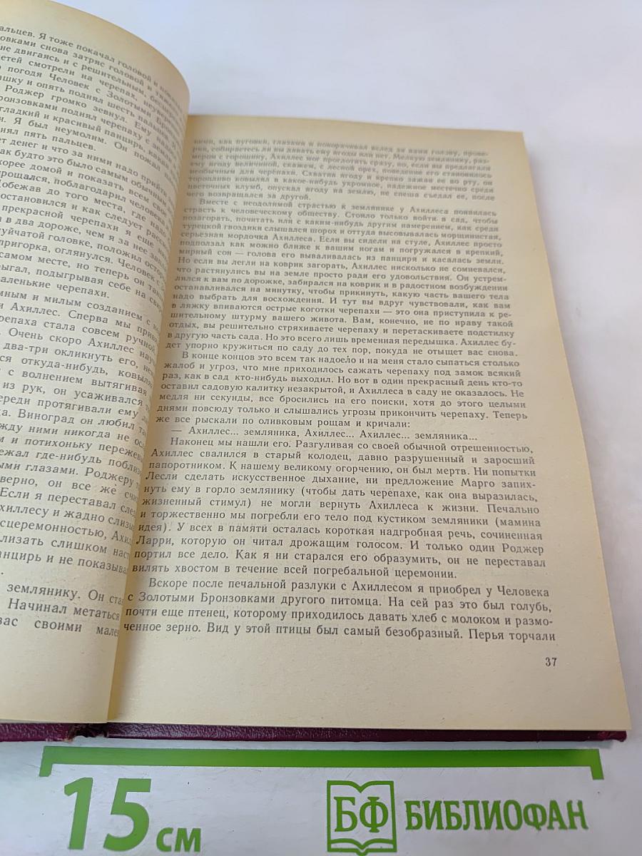 Моя семья и другие звери; Путь кенгуренка