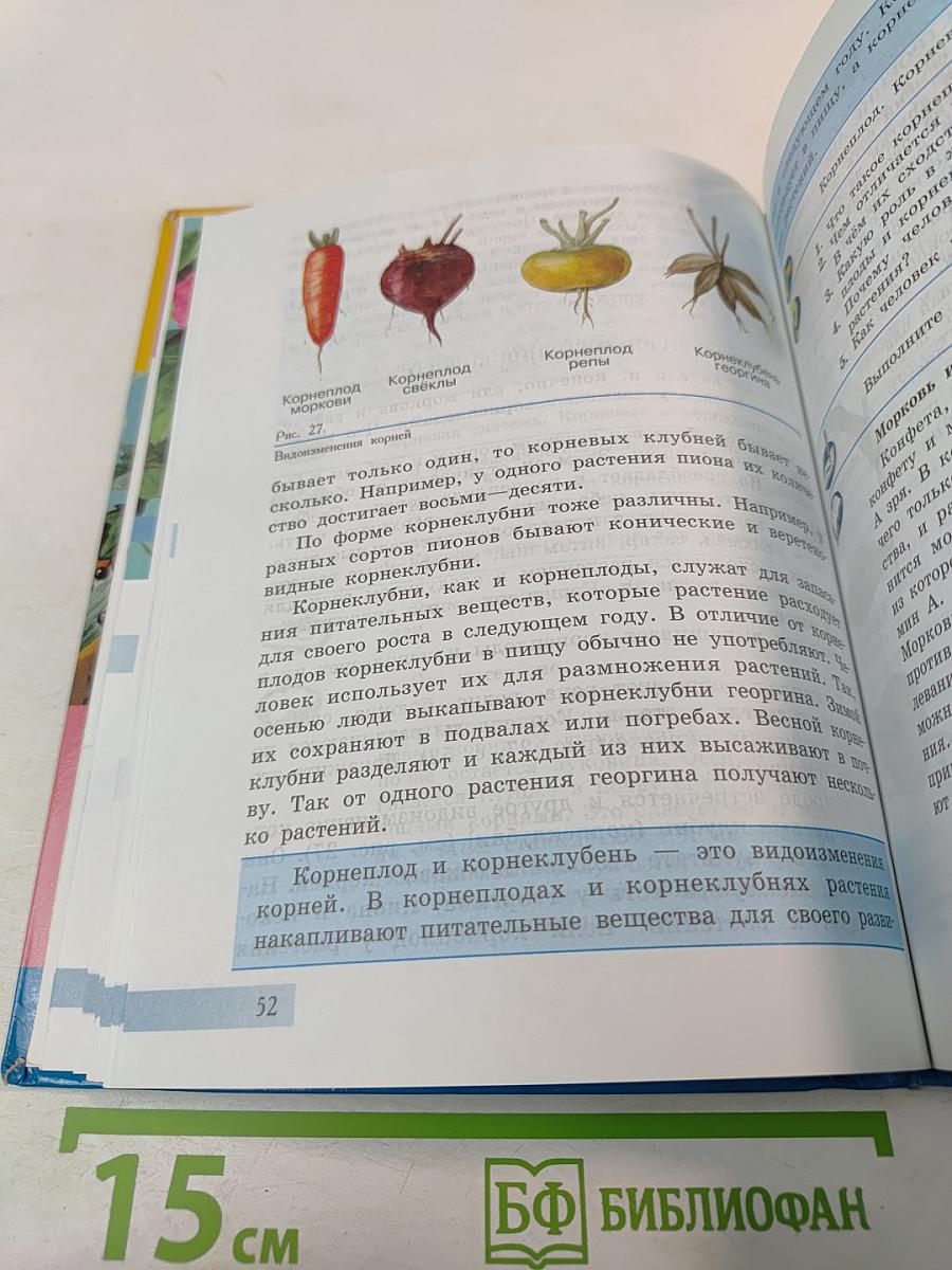 Биология. Растения. Бактерии. Грибы. Учебник для 7 класса специальных (коррекционных) образовательных учреждений VIII вида