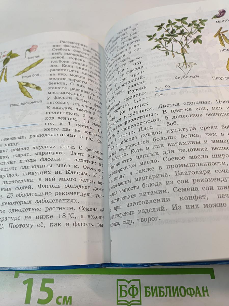 Биология. Растения. Бактерии. Грибы. Учебник для 7 класса специальных (коррекционных) образовательных учреждений VIII вида