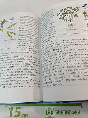 Биология. Растения. Бактерии. Грибы. Учебник для 7 класса специальных (коррекционных) образовательных учреждений VIII вида