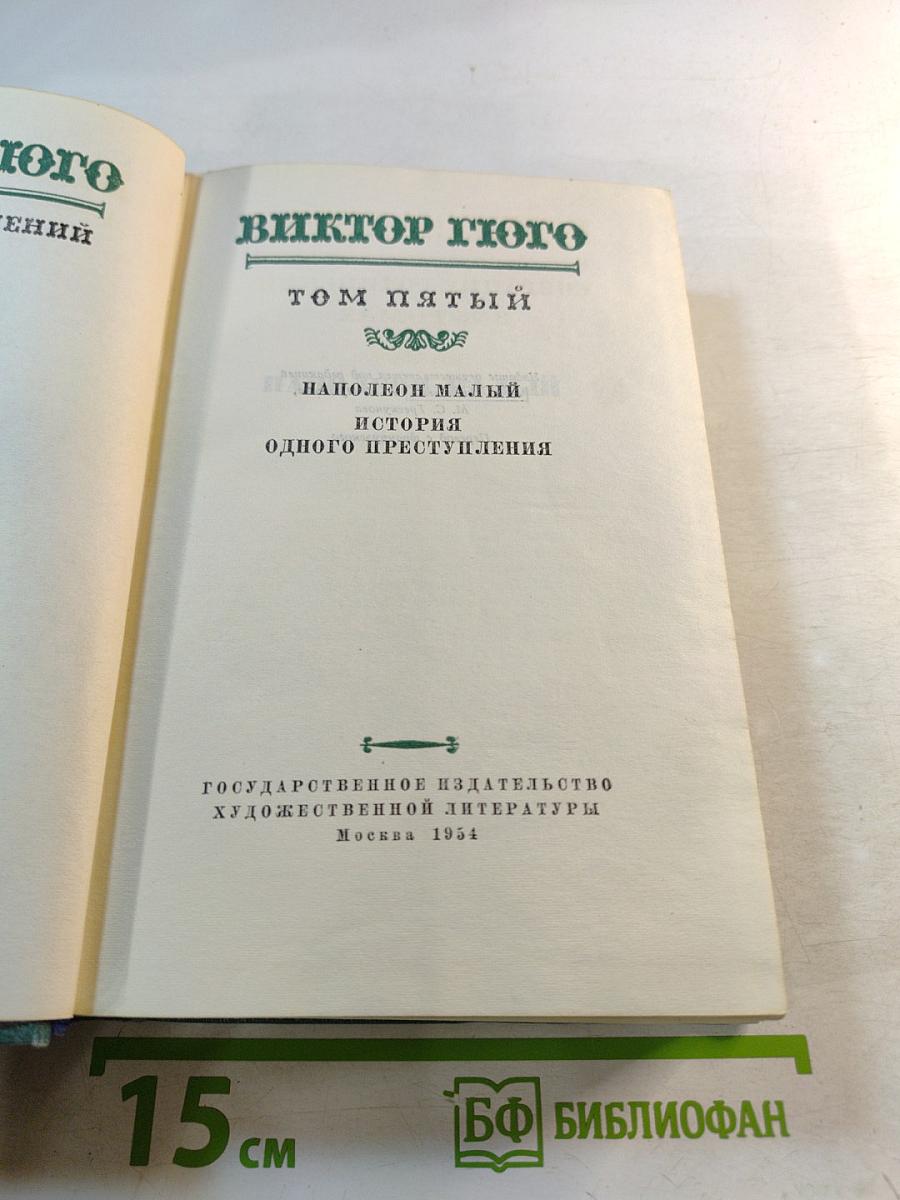 Наполеон Малый. История одного преступления. Том пятый