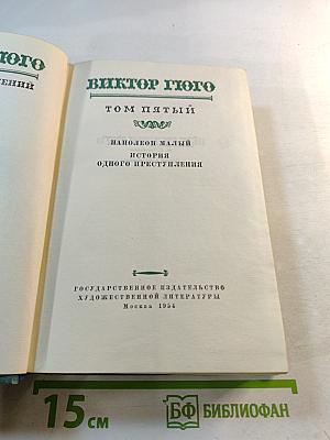 Наполеон Малый. История одного преступления. Том пятый