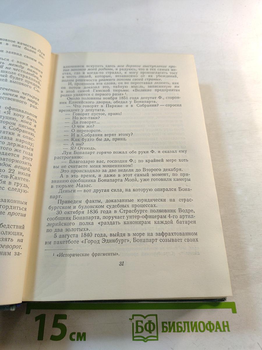 Наполеон Малый. История одного преступления. Том пятый