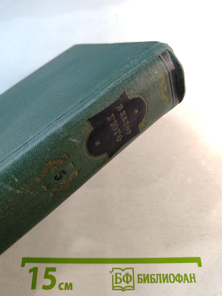 Наполеон Малый. История одного преступления. Том пятый