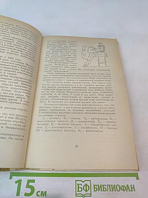 Путешествие в слово. Книга для учащихся старших классов