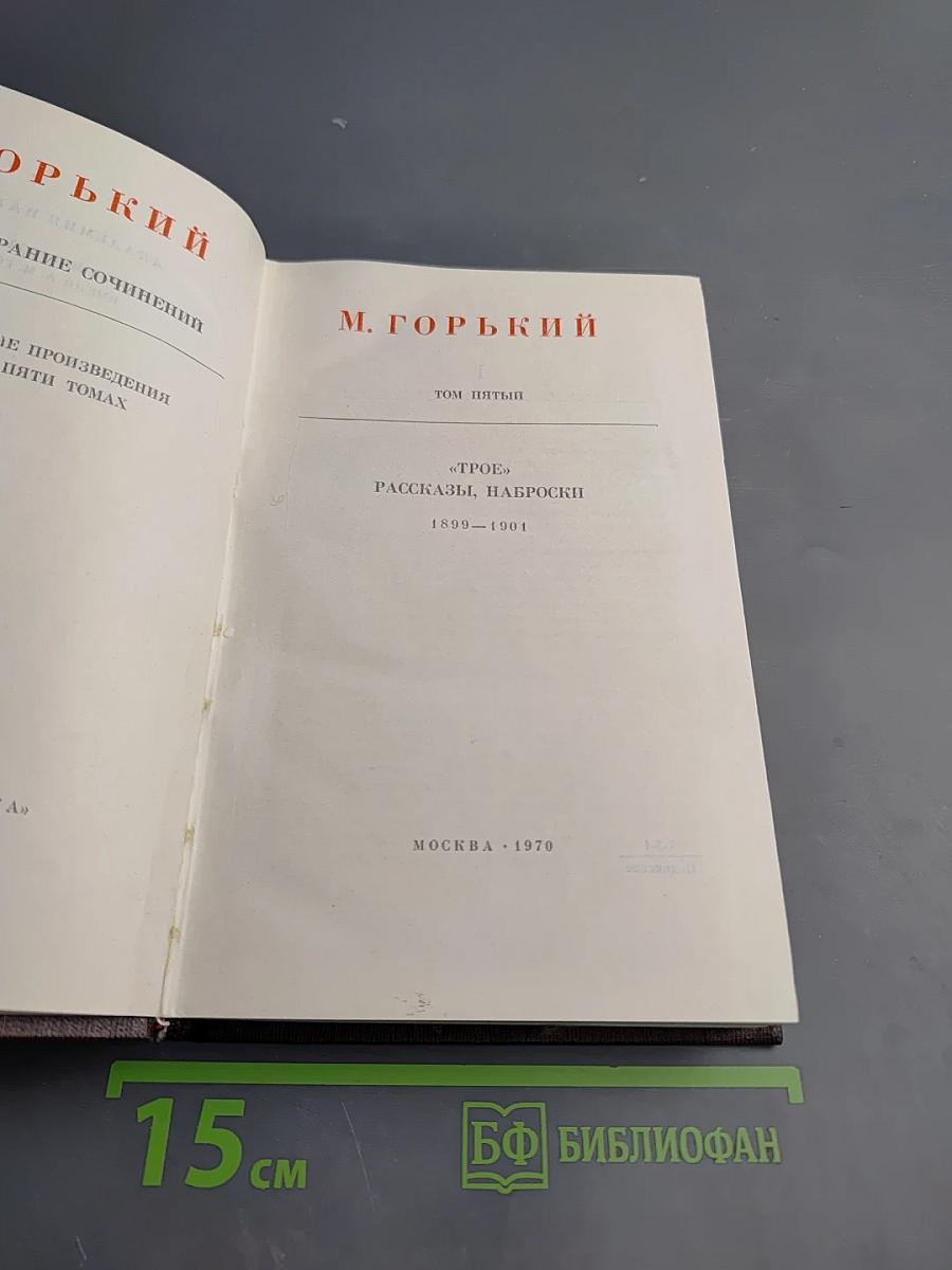 Собрание сочинений в десяти томах. Том 5. Трое. Рассказы, наброски