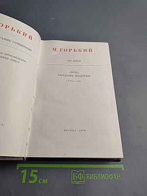 Собрание сочинений в десяти томах. Том 5. Трое. Рассказы, наброски