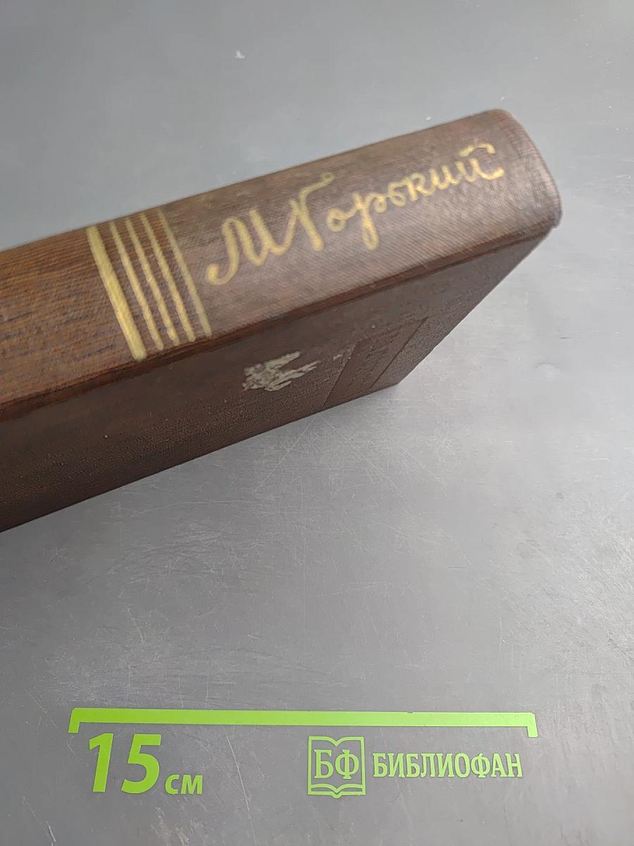 Собрание сочинений в десяти томах. Том 5. Трое. Рассказы, наброски