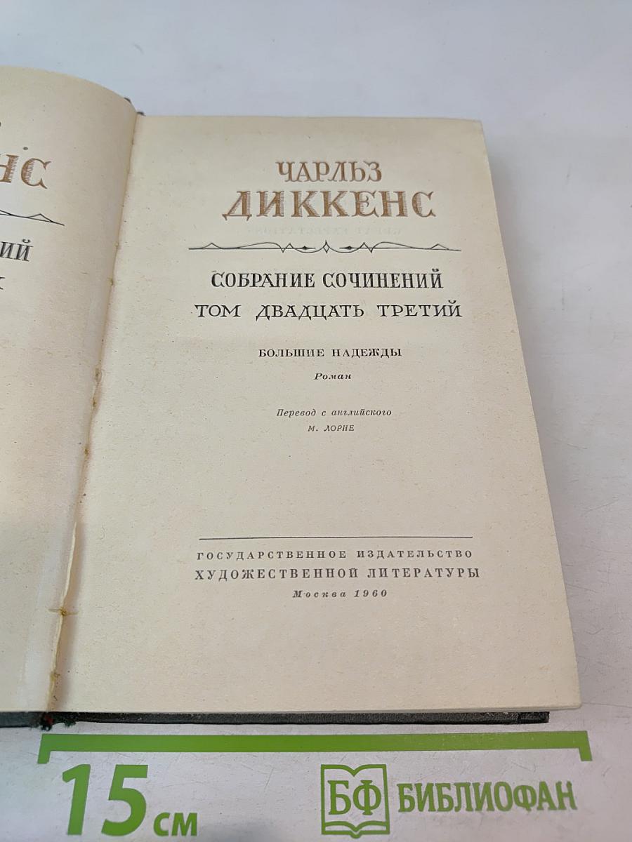 Большие надежды