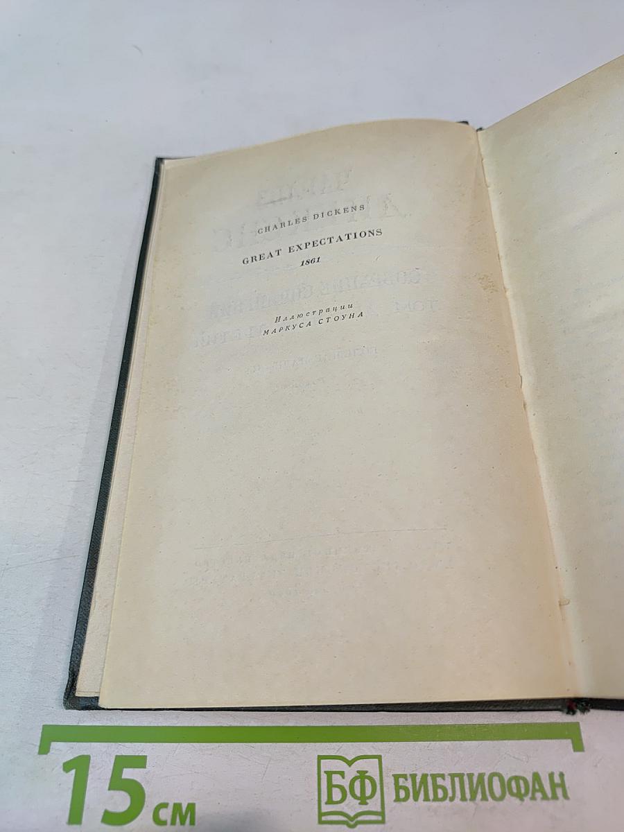 Большие надежды