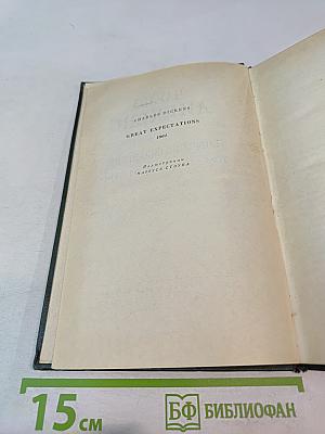 Большие надежды