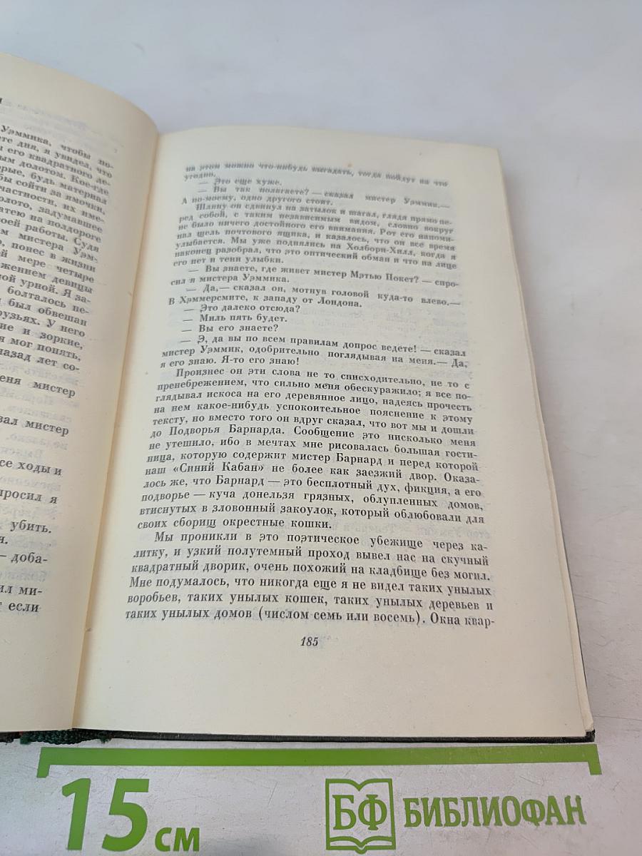 Большие надежды