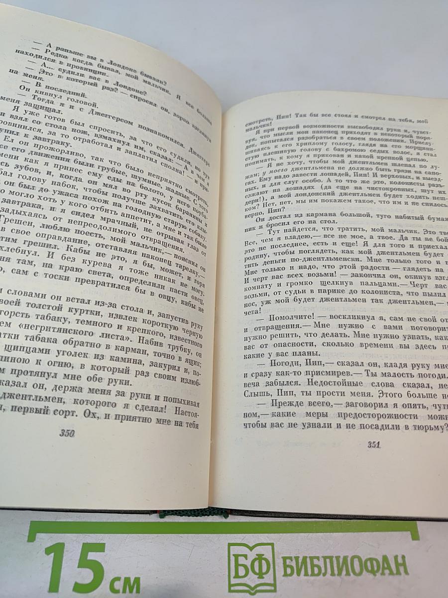 Большие надежды