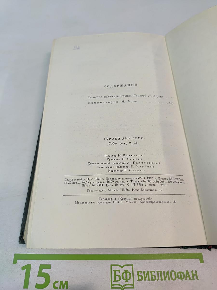 Большие надежды