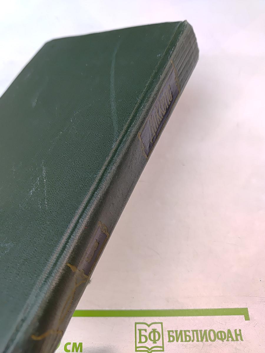 Большие надежды