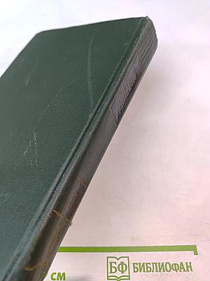 Большие надежды