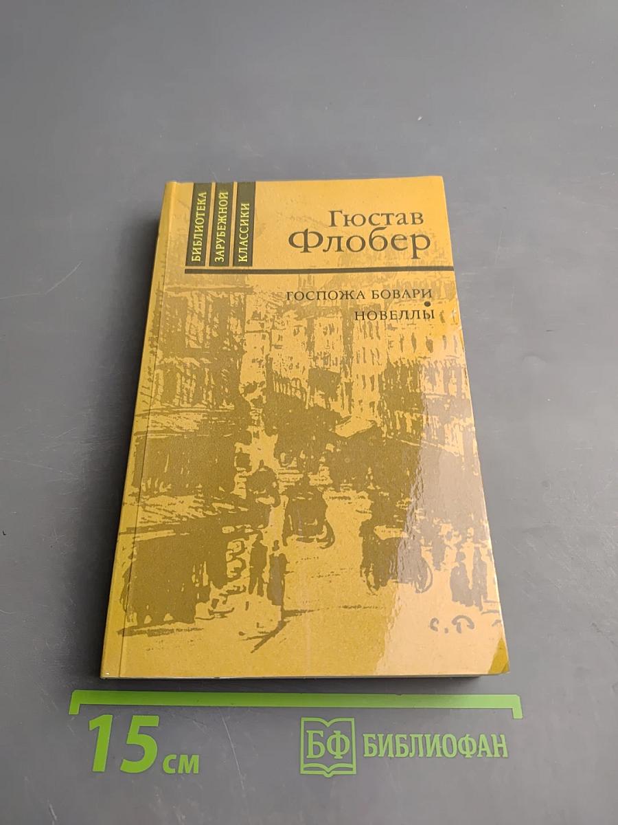 Госпожа Бовари. Новеллы