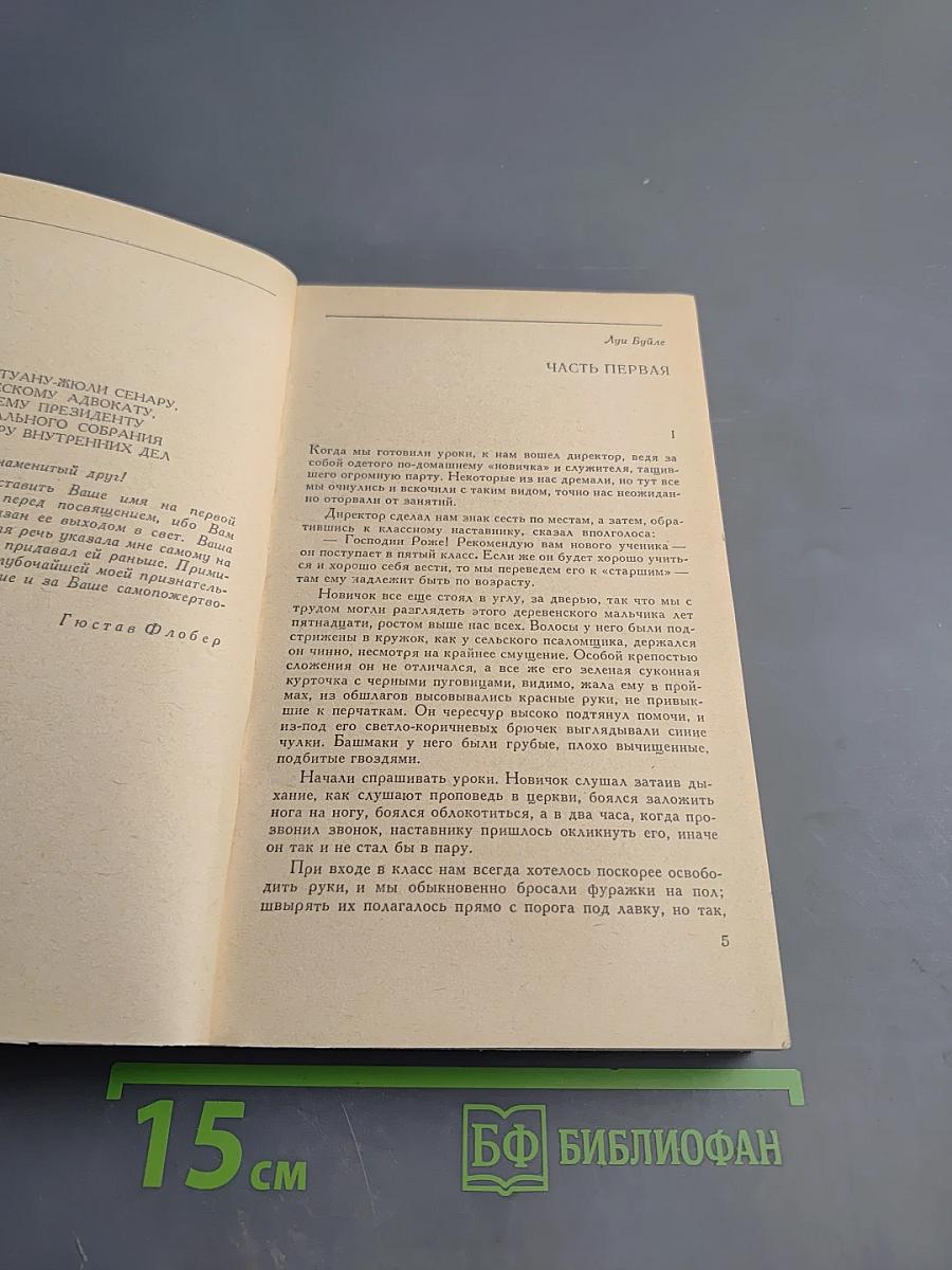 Госпожа Бовари. Новеллы