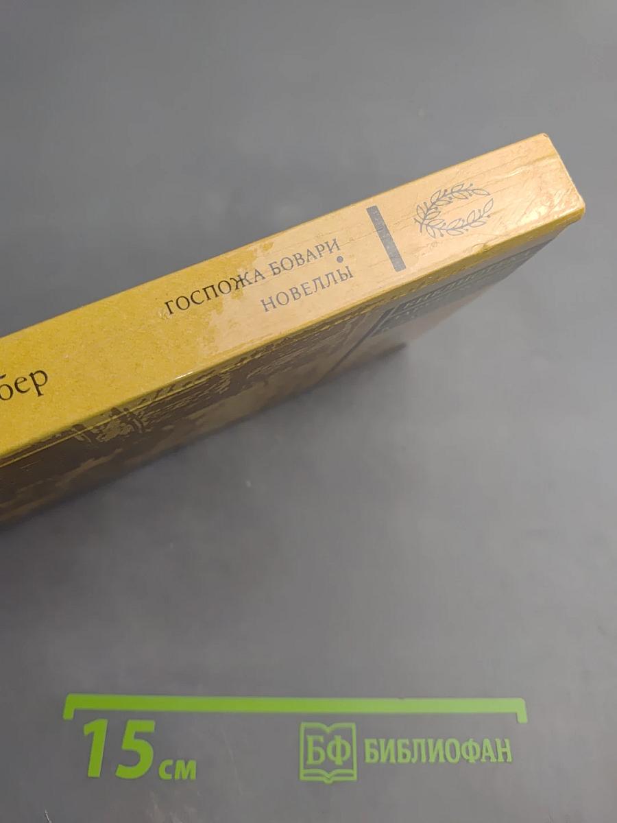 Госпожа Бовари. Новеллы