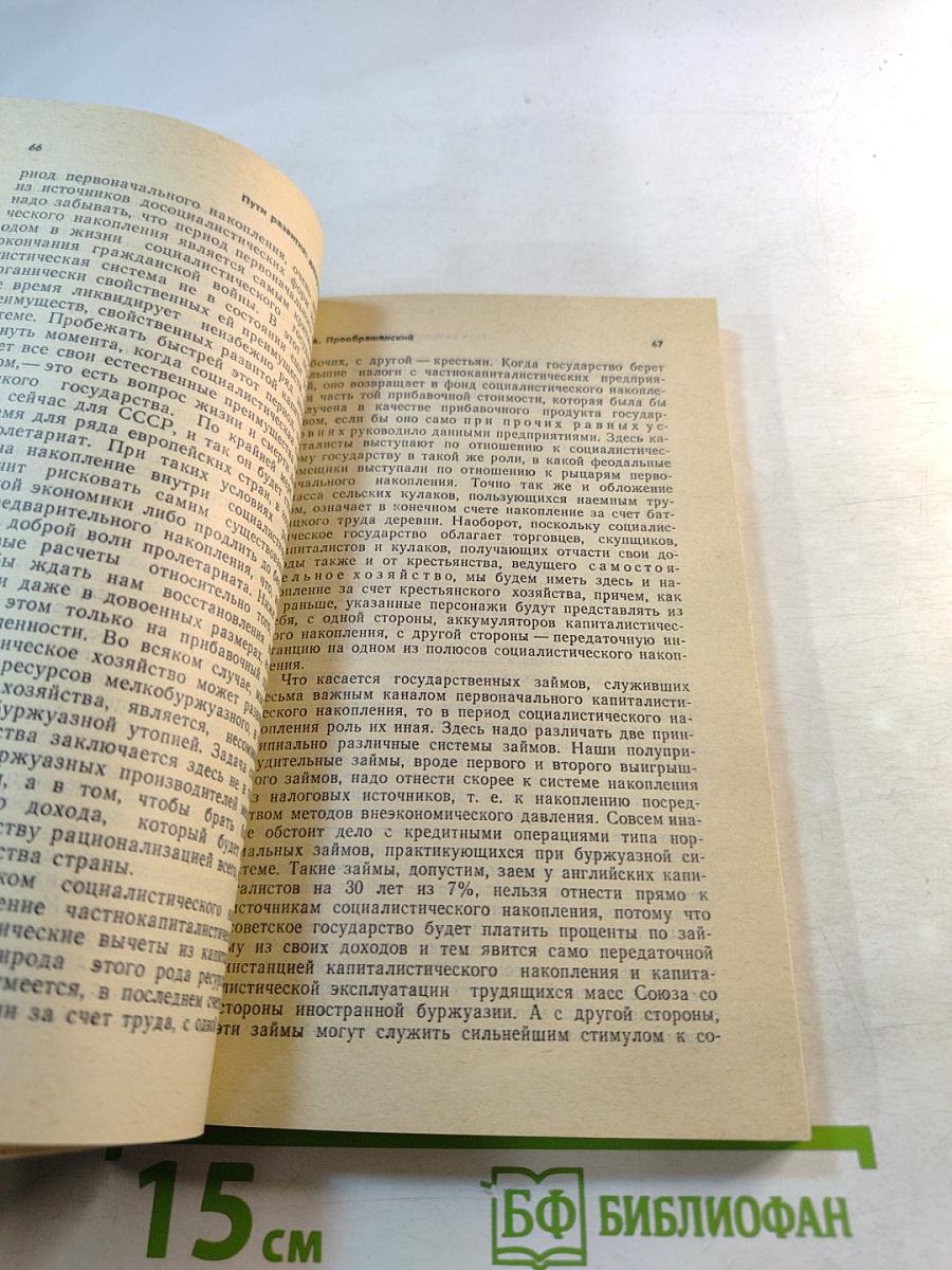 Пути развития: дискуссии 20-х годов