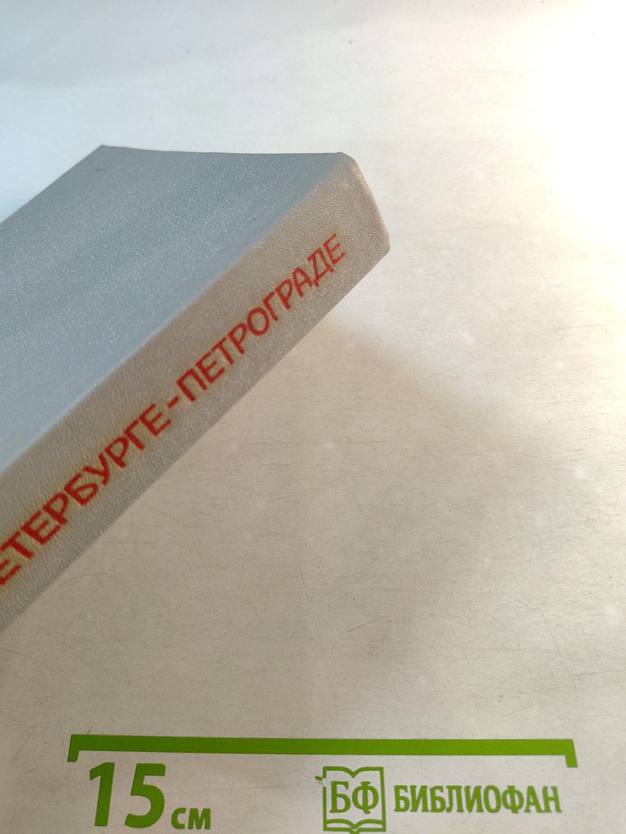 Ленин в Петербурге - Петрограде: Места жизни и деятельности в городе и окрестностях 1890–1920