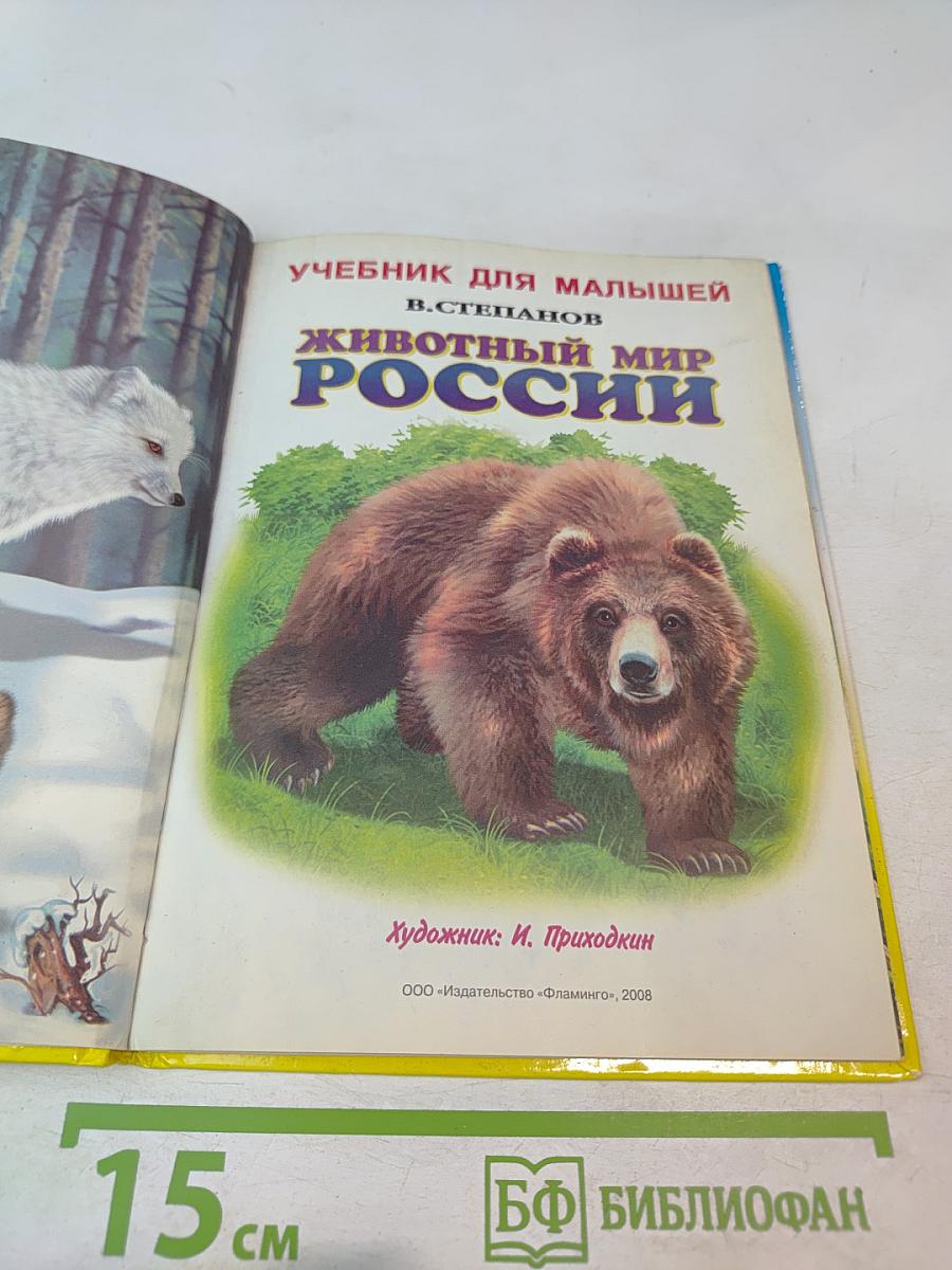 Учебник для малышей. Животный мир России