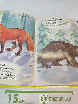 Учебник для малышей. Животный мир России