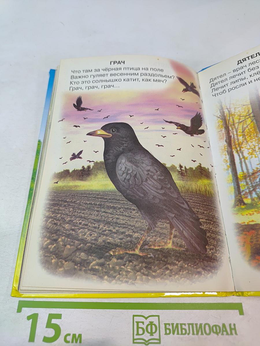 Учебник для малышей. Животный мир России