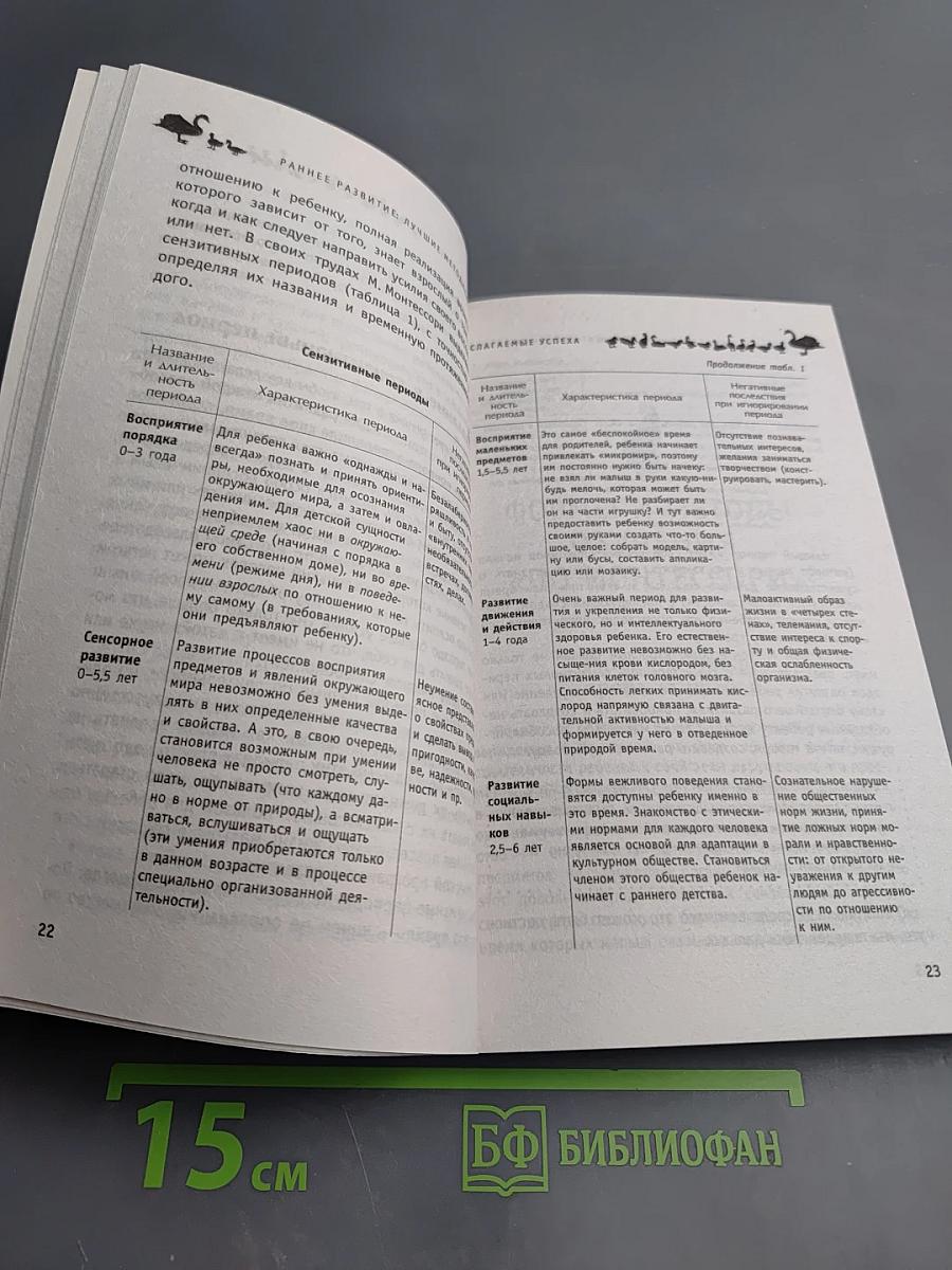 Раннее развитие: лучшие методики и игры