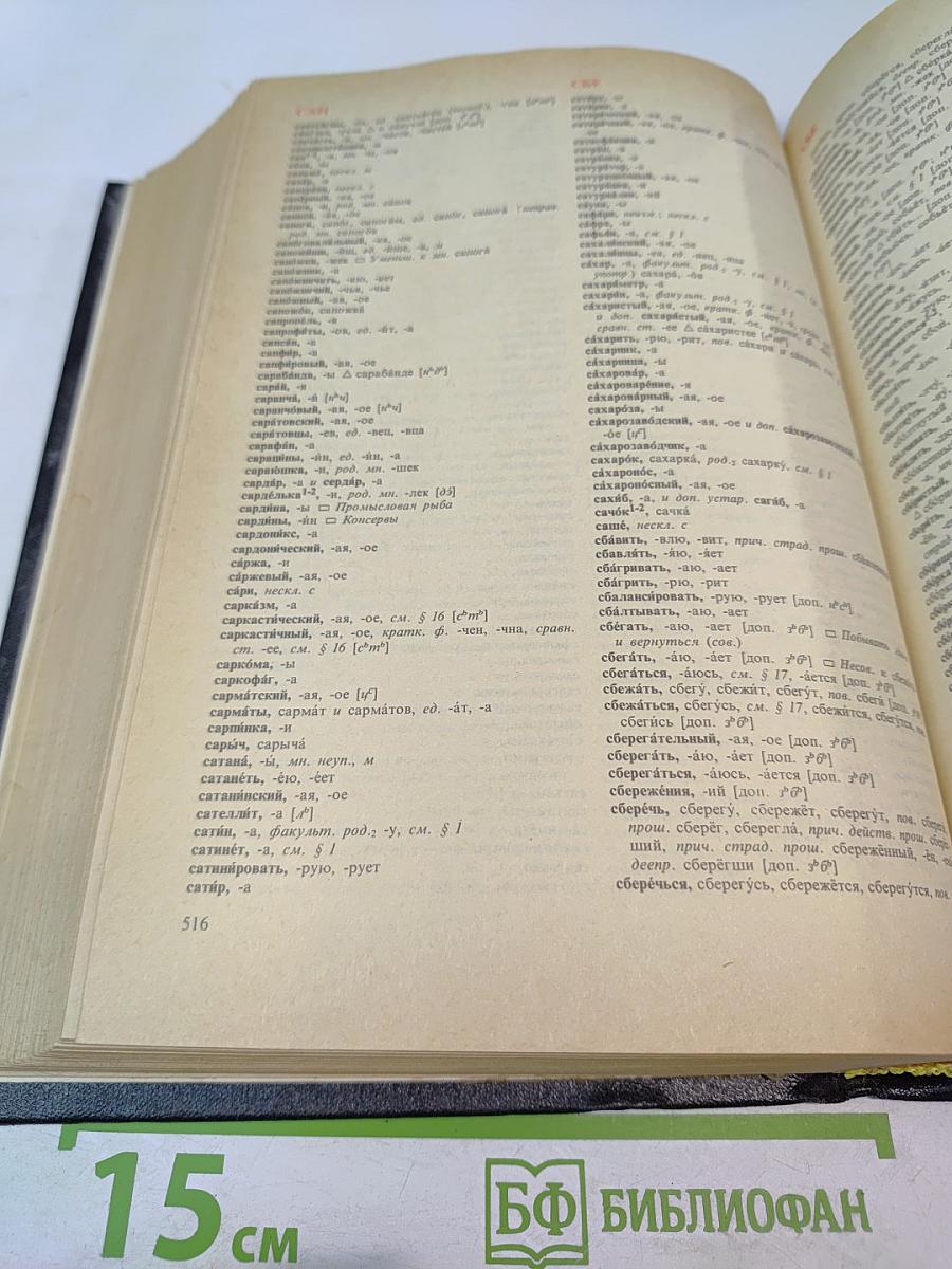 Орфоэпический словарь русского языка: Произношение, ударение, грамматические формы