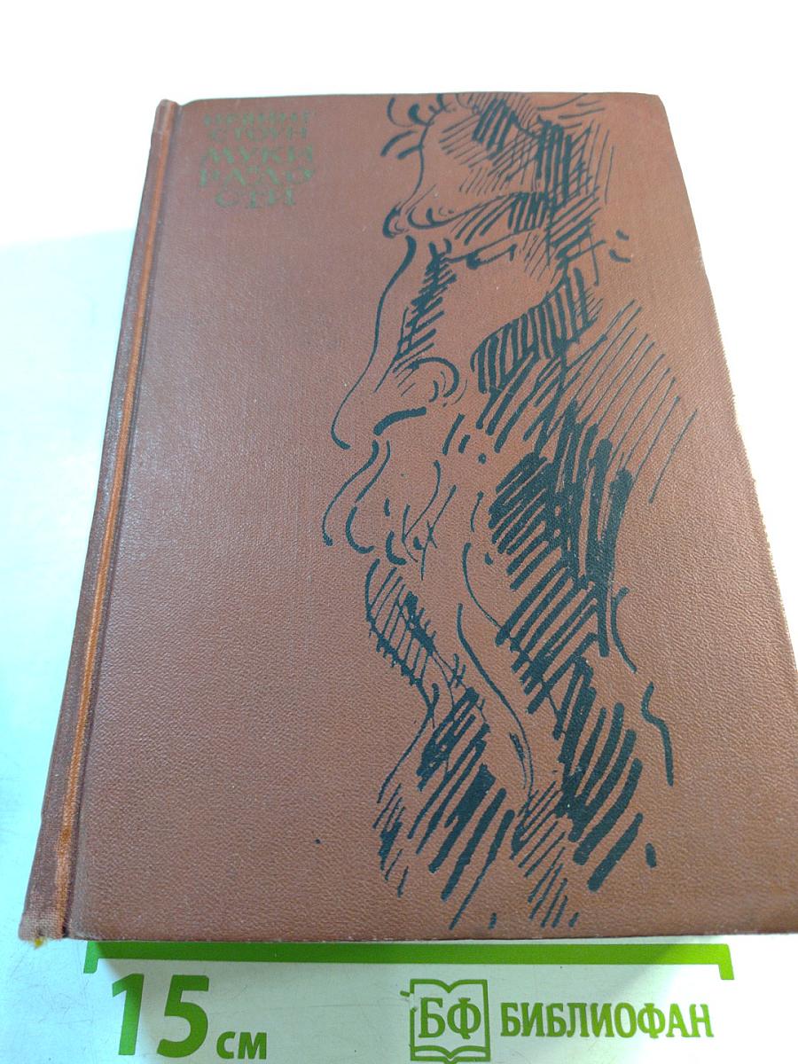 Муки и радости. Роман о Микеланджело