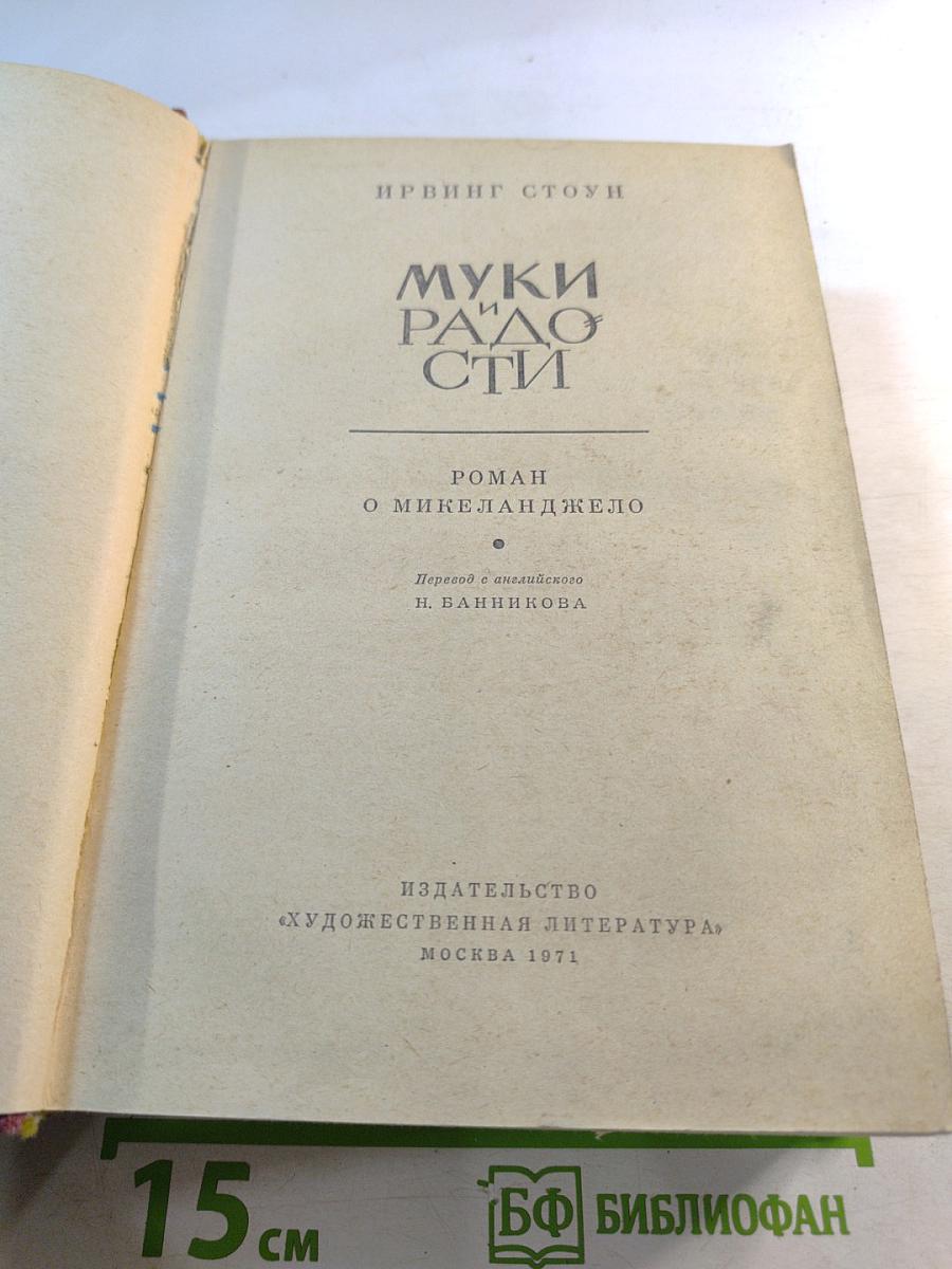 Муки и радости. Роман о Микеланджело
