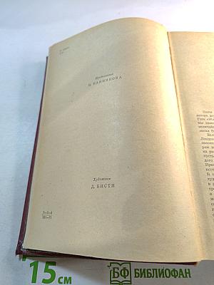 Муки и радости. Роман о Микеланджело