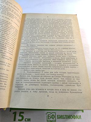 Муки и радости. Роман о Микеланджело