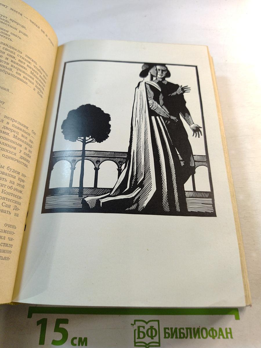 Муки и радости. Роман о Микеланджело