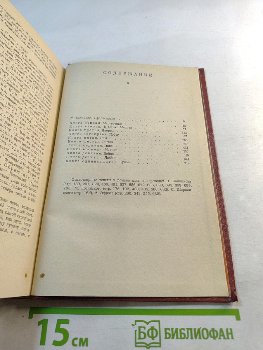 Муки и радости. Роман о Микеланджело