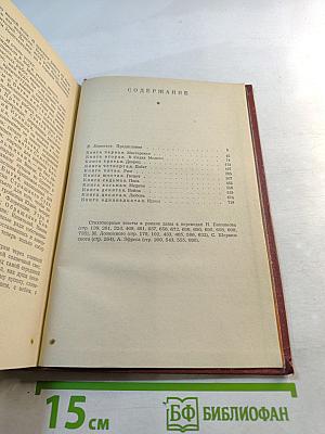 Муки и радости. Роман о Микеланджело