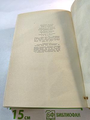 Муки и радости. Роман о Микеланджело