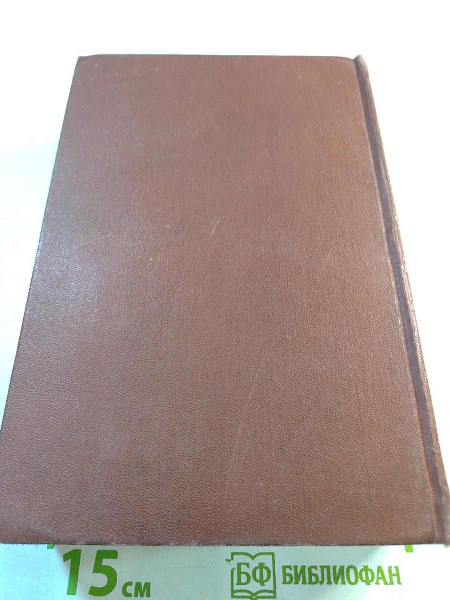 Муки и радости. Роман о Микеланджело