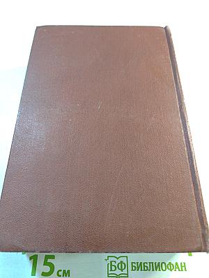 Муки и радости. Роман о Микеланджело