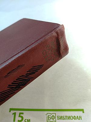 Муки и радости. Роман о Микеланджело