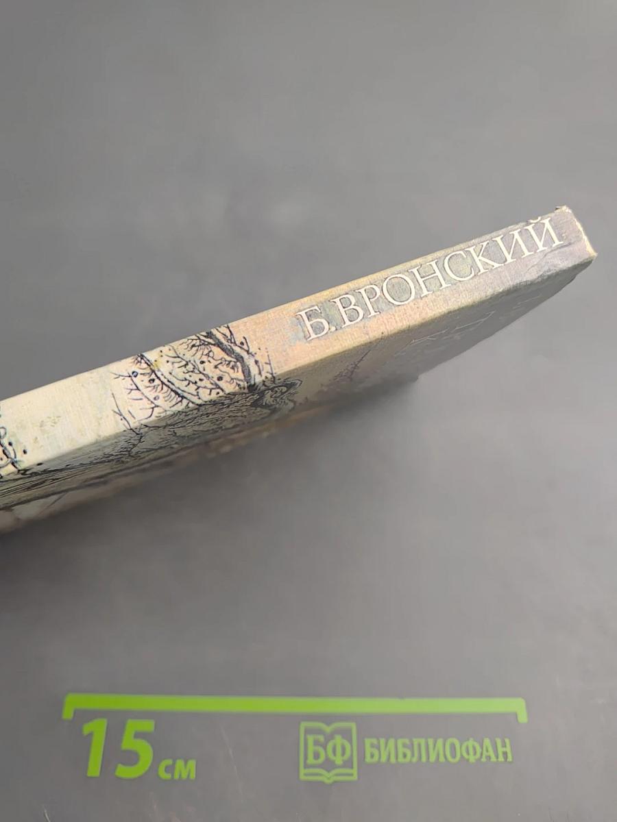 Тропой Кулика