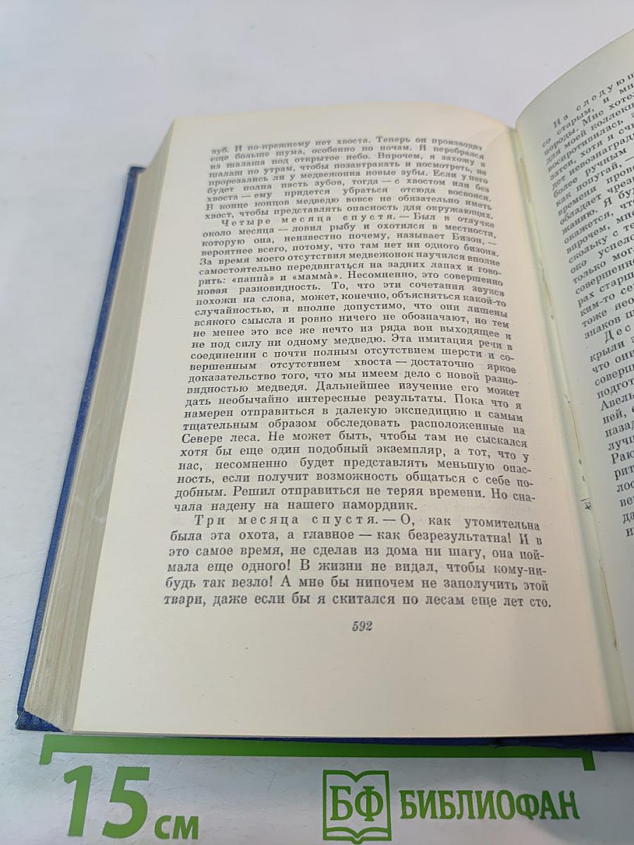 Собрание сочинений. Том десятый. Рассказы. Очерки. Публицистика 1863-1893