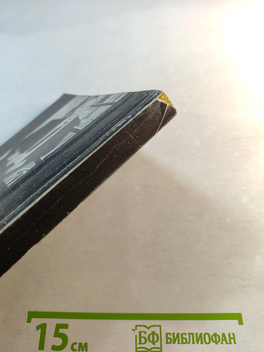 Философия информационной цивилизации