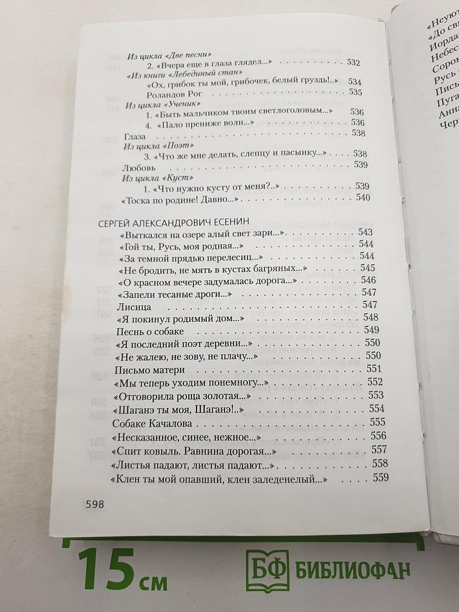 Литература ХХ века. Хрестоматия. 11 класс. Часть I