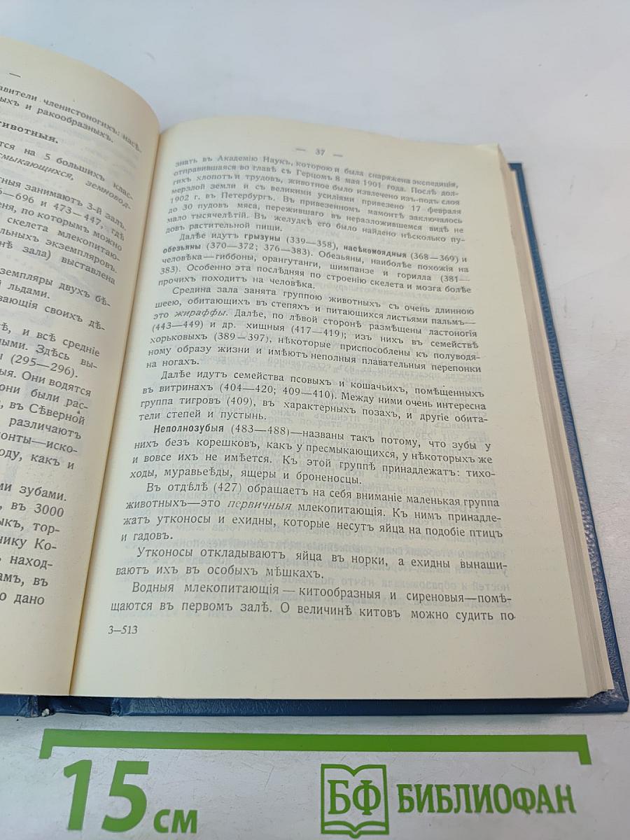 Путеводитель по С.-Петербургу