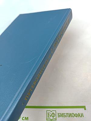 Путеводитель по С.-Петербургу