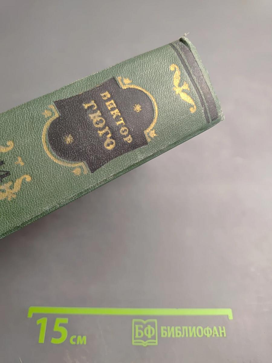 Виктор Гюго. Собрание сочинений в пятнадцати томах. Том четырнадцатый. Критические статьи, очерки, письма