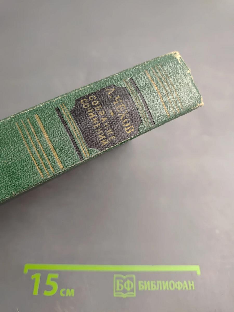 Собрание сочинений. Том второй. Рассказы 1883-1884